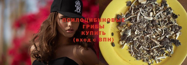 spice Медвежьегорск