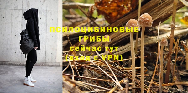 индика Медногорск