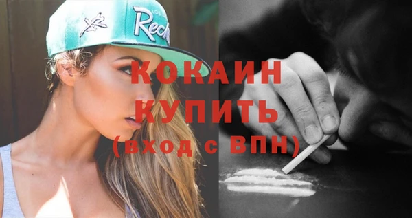 индика Медногорск