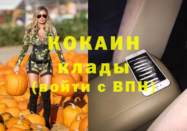 крисы Сосновый Бор