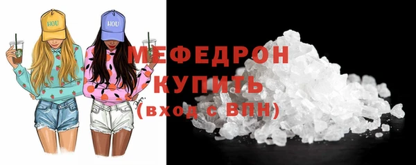 индика Медногорск