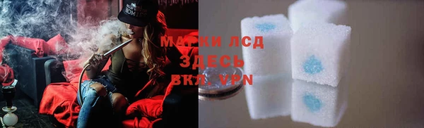 spice Медвежьегорск
