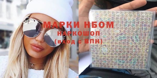 индика Медногорск