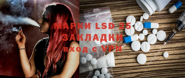 индика Медногорск
