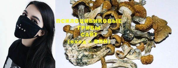 индика Медногорск