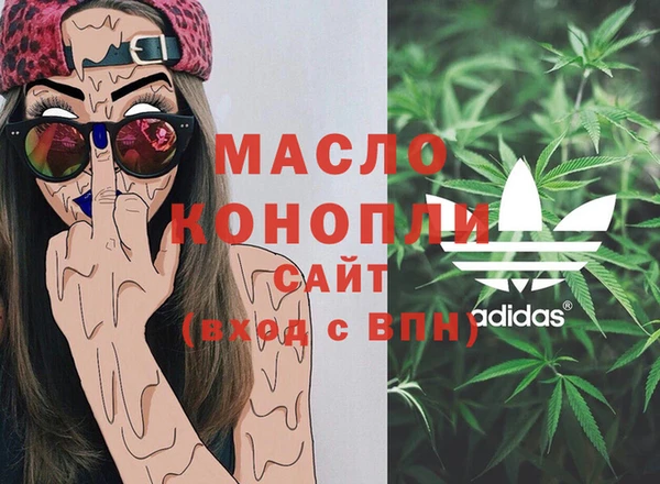 индика Медногорск