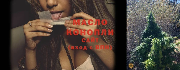 индика Медногорск
