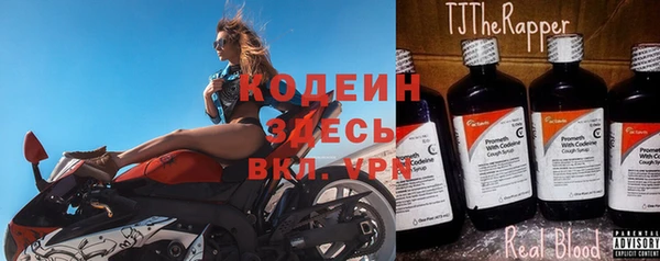 индика Медногорск