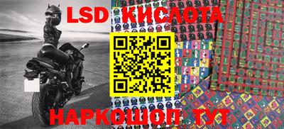 мяу мяу мука Аргун