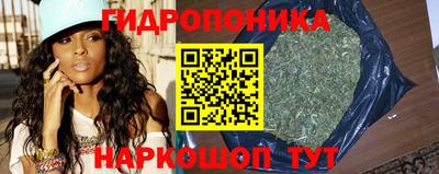 дурь Камышлов