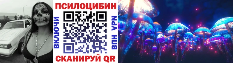 Псилоцибиновые грибы Psilocybe omg tor darknet как зайти где найти Чернушка