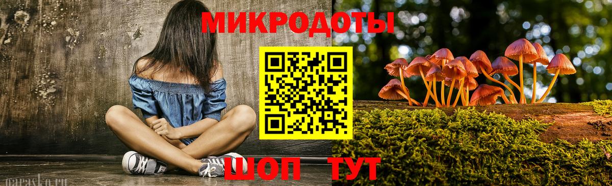 Галлюциногенные грибы GOLDEN TEACHER Чернушка