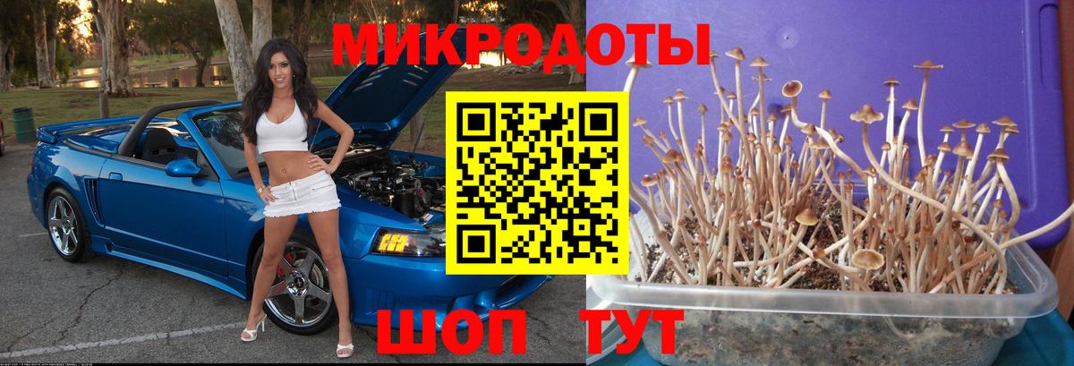 LSD-25  Alpha-PVP СОЛЬ кристаллы  Экстази  МДМА  МЕФ кристаллы  Чернушка  ГАШ  Меф МЯУ МЯУ  