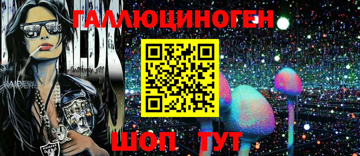 Псилоцибиновые грибы Psilocybe  Чернушка 