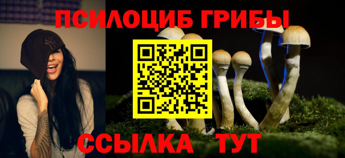 Галлюциногенные грибы Cubensis  Вход с VPN  купить наркотик  Чернушка 
